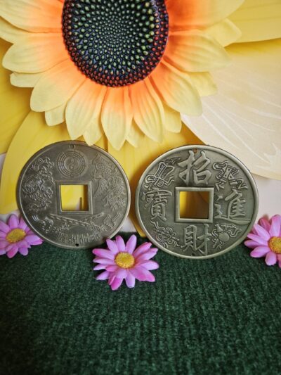 Moneda de la suerte Feng Shui