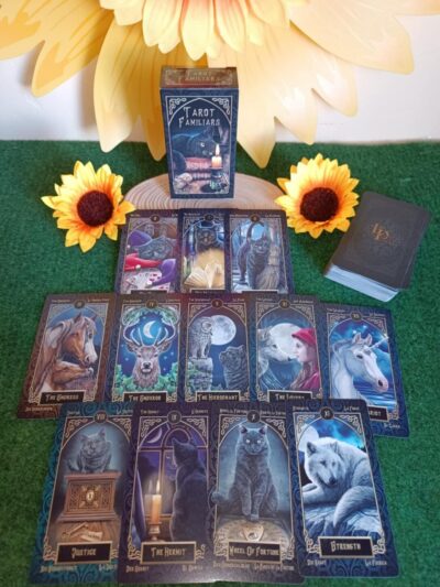 Cartas familiars