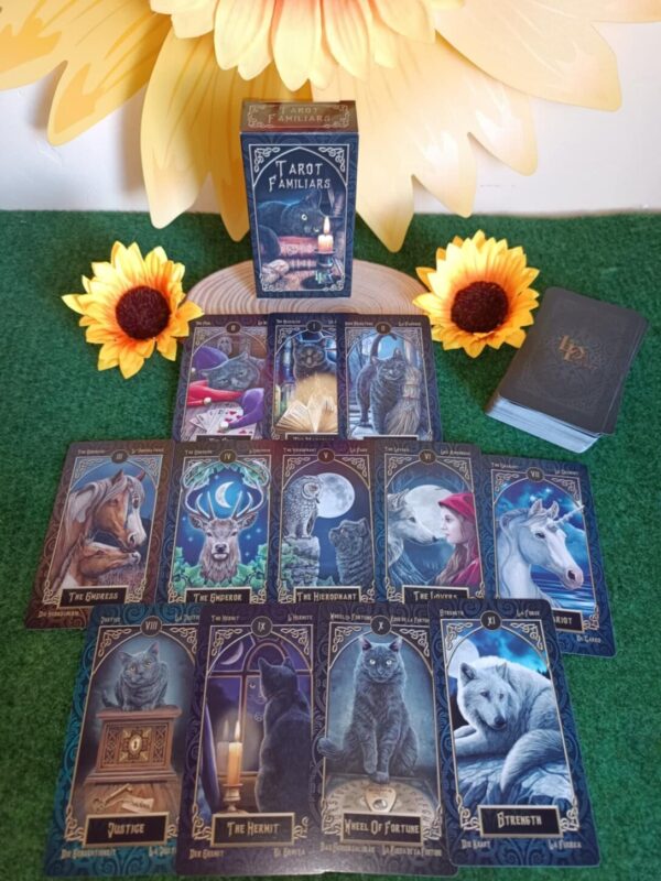 Cartas familiars Cojines, tapetes y MAGIA