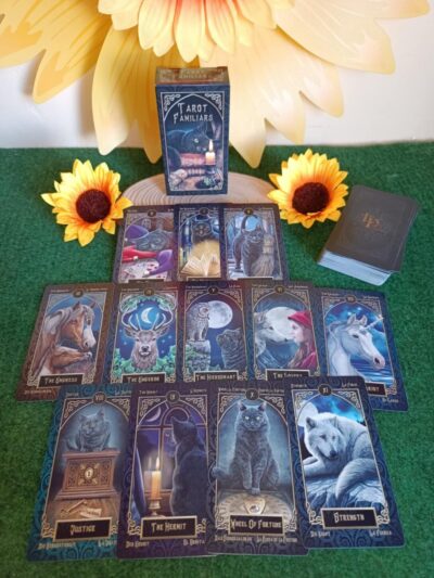 Cartas familiars