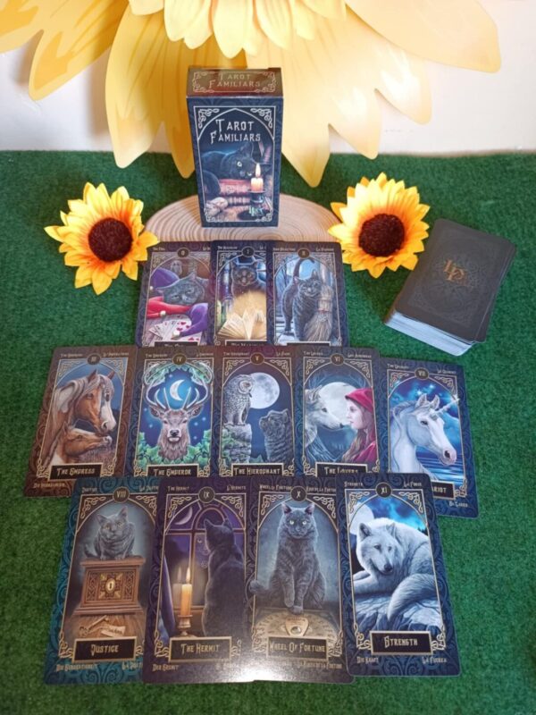 Cartas familiars Cojines, tapetes y MAGIA